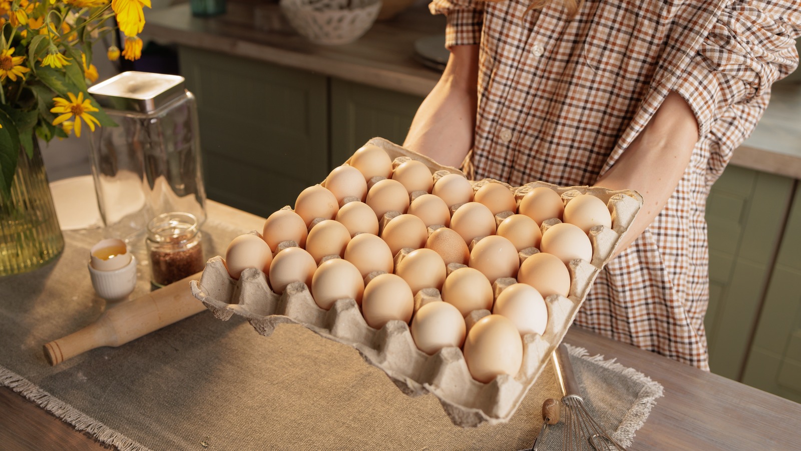 5 Smart Ways To Repurpose Large Egg Trays For An Organized Kitchen – House Digest