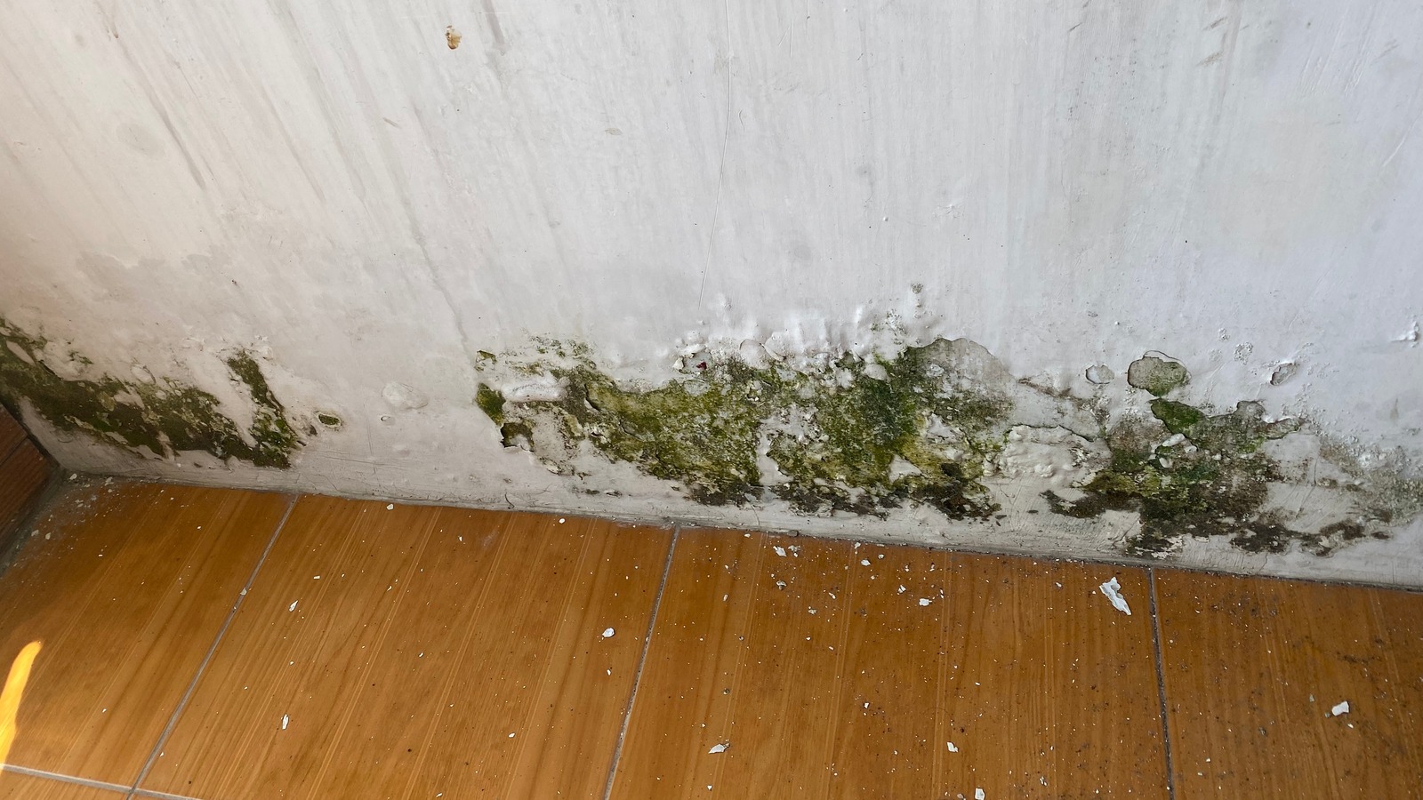 Mold Growing Inside Of Walls: Is There A Solution Or Do You Need To Replace Them? – House Digest