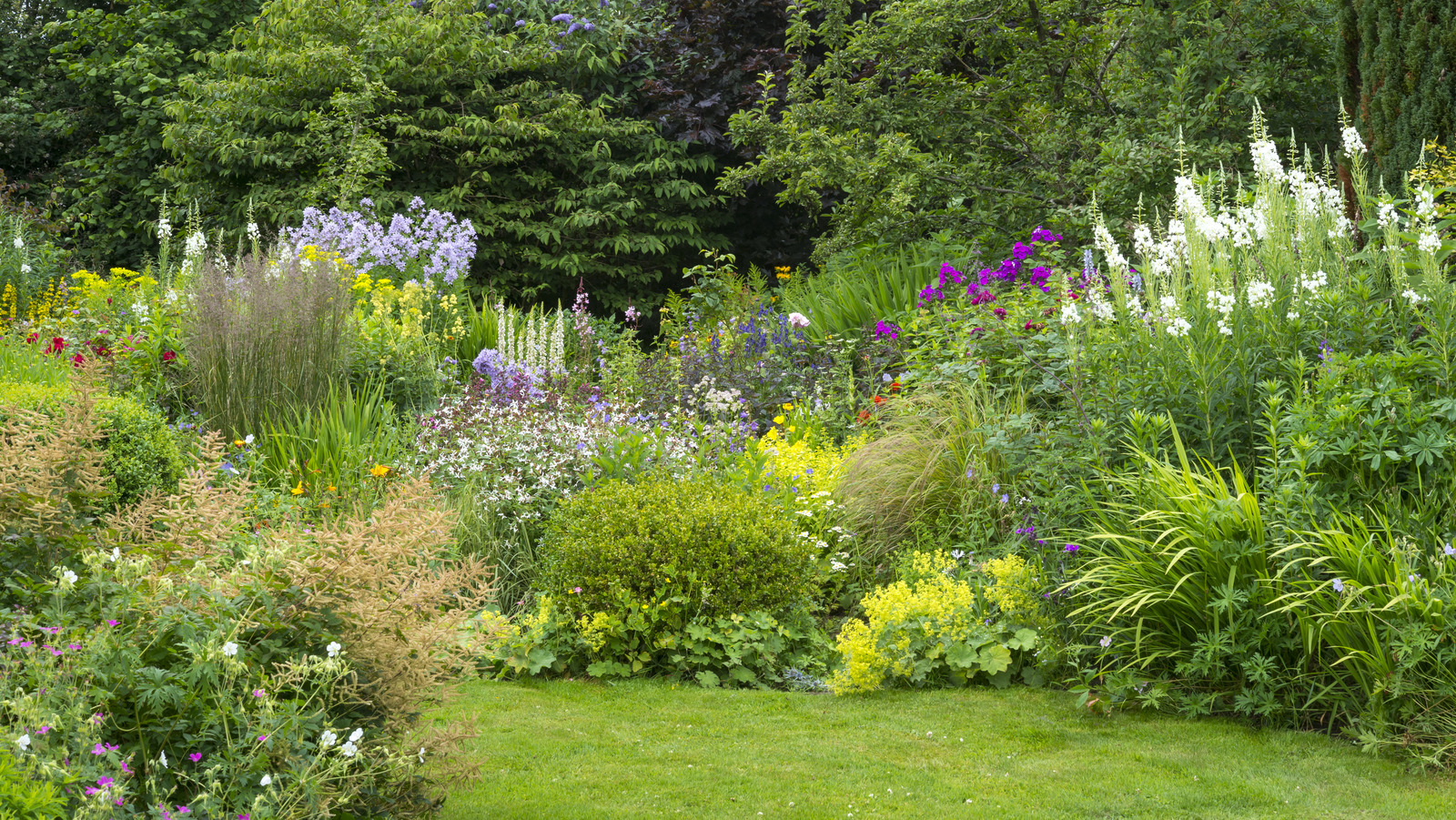 Signs That It’s Time To Remove Annuals From Your Yard (& How To Do It) – House Digest